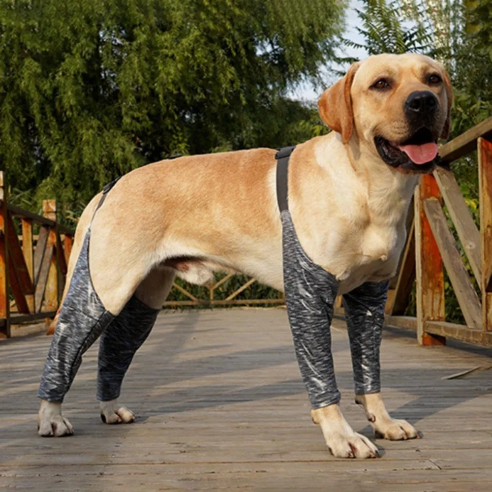 Combinaison respirante pour chien TPR, couvre-jambes à quatre pattes, protecteur de coude, écharpe grise, protection extérieure, soins pour chiens