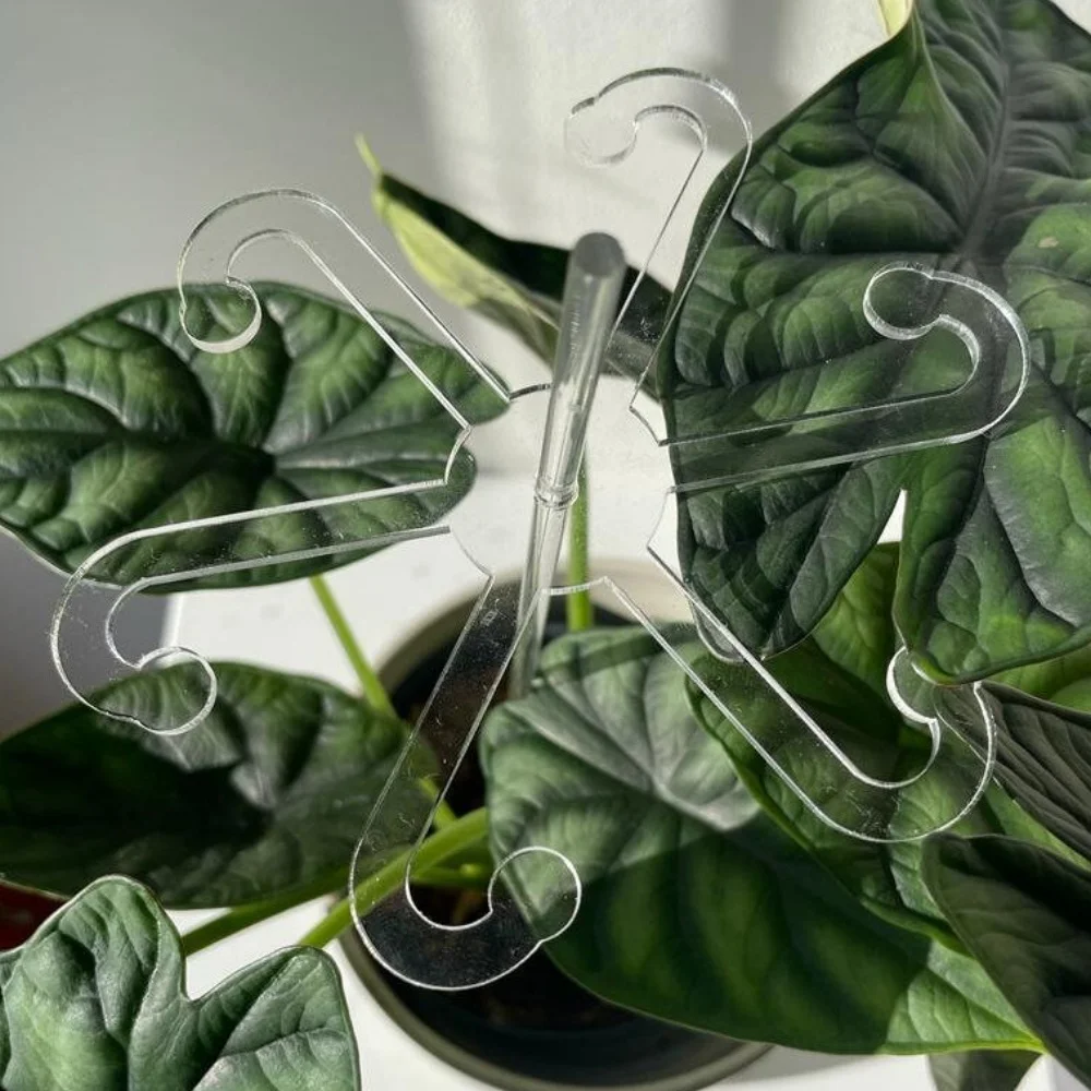 

Acrylic Plant Support Bracket Provides extra support for plants and flowers to help them grow