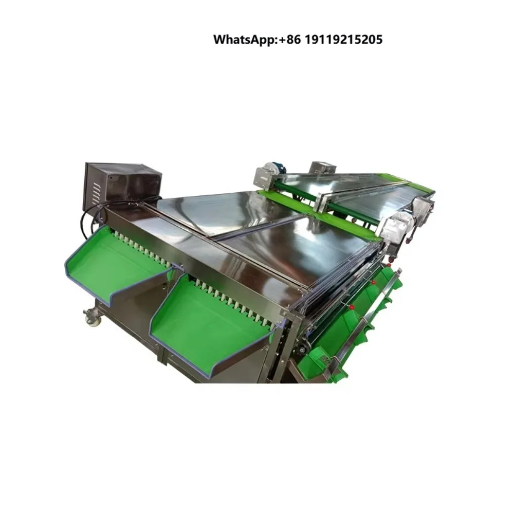 Easy Operation Sizing Machine Palm Dates Sorter Grader / Onion Size Sorting Machine / Tomato Grading Machine Price