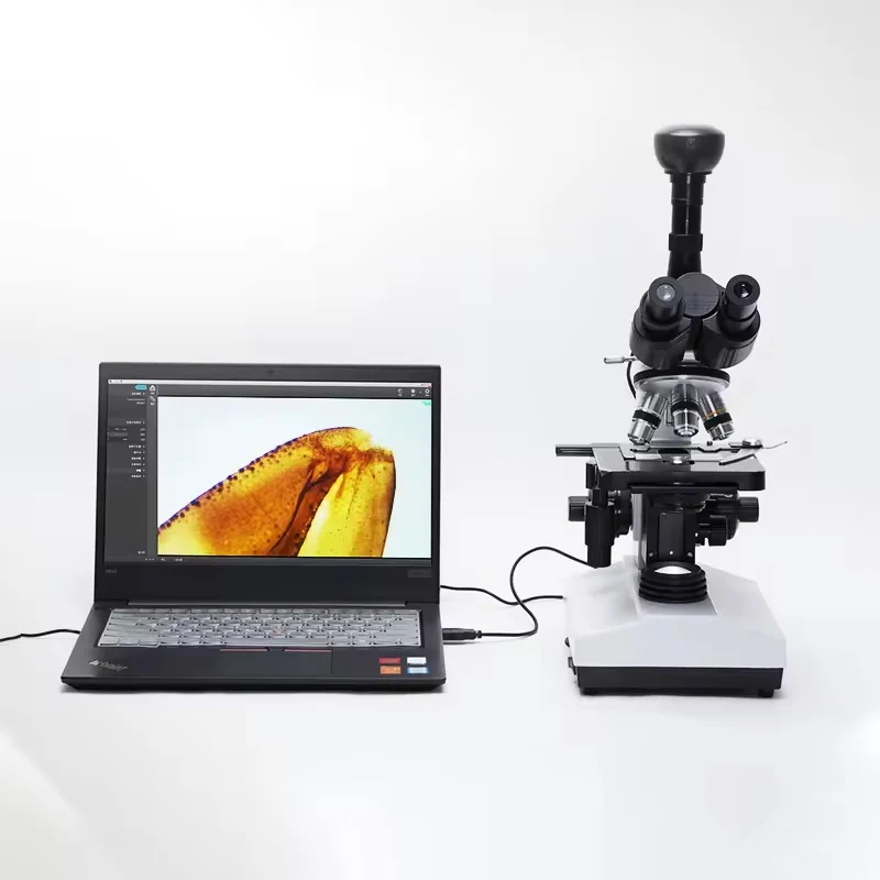 Professional grade bio-optical trinocular microscope high power high definition medical laboratory special bacteria scientific