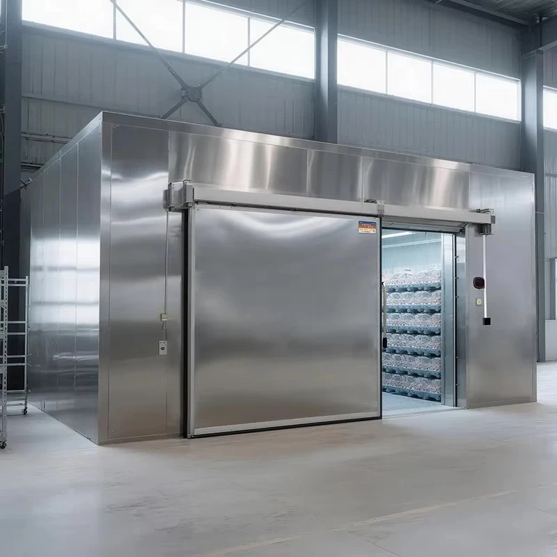 Cold Storage Door Freezer High Insulation B1 Fireproof Smart Control -30C R404A for Warehouse Kitchen Custom
