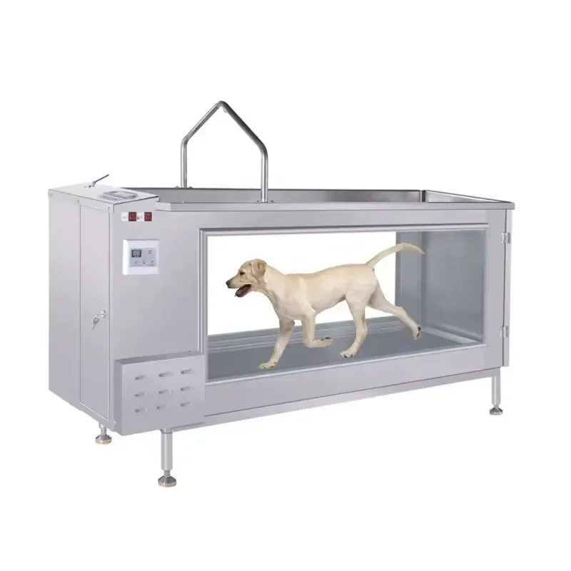 Underwater Treadmill for Dogs - Effective Hydrotherapy Solution
