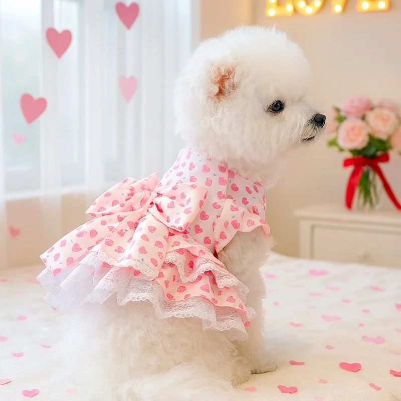 Prinzessinnenkleid für Hunde Sommer Welpenkleidung Schleife Bedruckte Spitzenkleider Hunde-Puffrock Chihuahua Bichon Kleidung Mädchen Hundekostüm