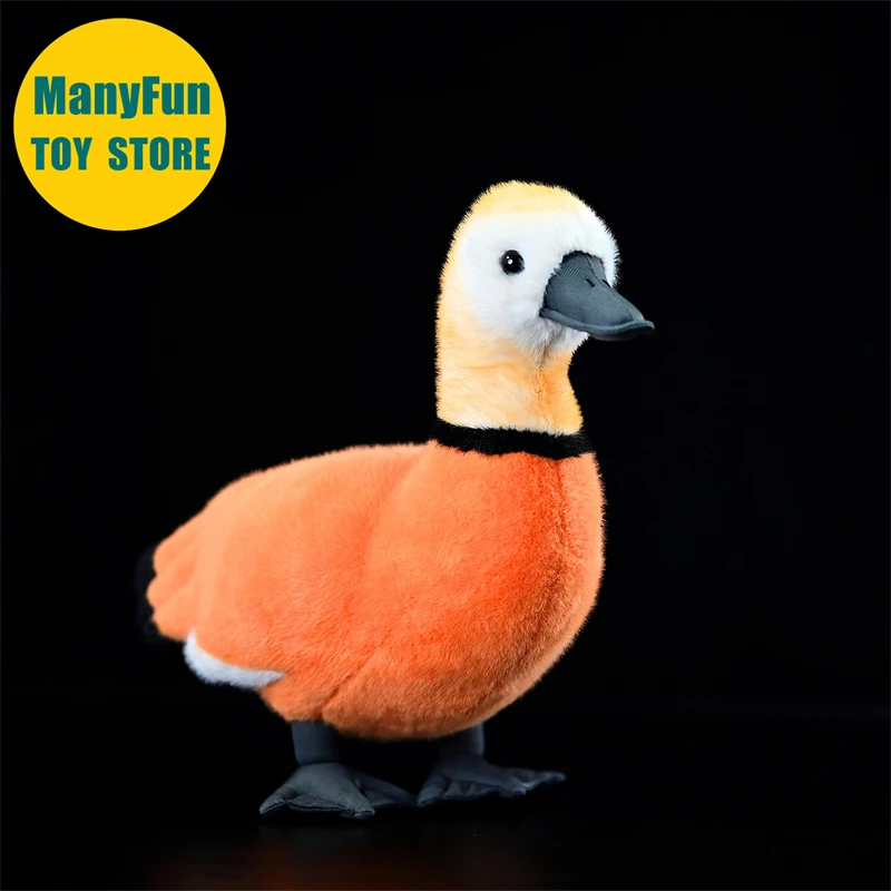 

Реалистичная плюшевая игрушка Ruddy Shelduck High Fidelity Brahminy Duck Plushie Wild Duck, реалистичная мягкая кукла Tadorna, имитация животного