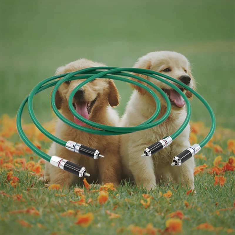 

Reference-Grade Audio Cable McIntosh - 4N OFC Silver-Coated Core w/ Rhodium-Plated RCA Connectors​