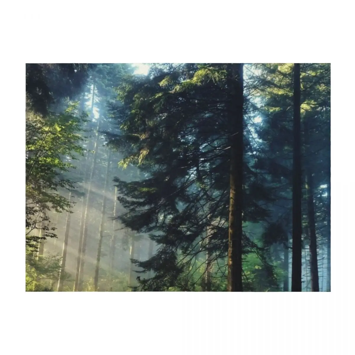 

Morning forest - forest Throw Blanket christmas decoration blankets and throws Blankets For Bed Flannels Blankets