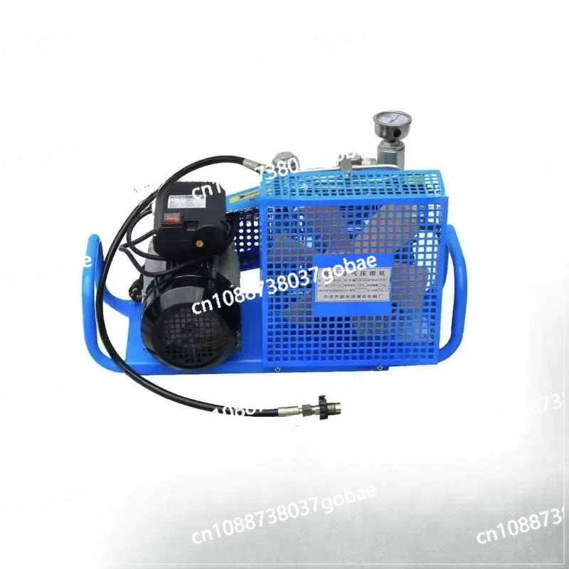 

Portable High PressureGas Cylinder Compressor Filling Air Pump Fire Breathing 20-30Mpa