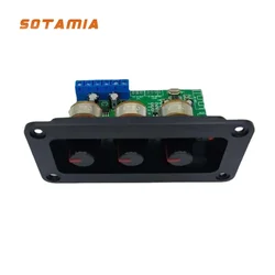 SOTAMIA Bluetooth 5.0 amplificatore scheda Audio 2x20W Home Theater Hifi scheda amplificatore di potenza Stereo amplificatore per altoparlanti Audio fai-da-te