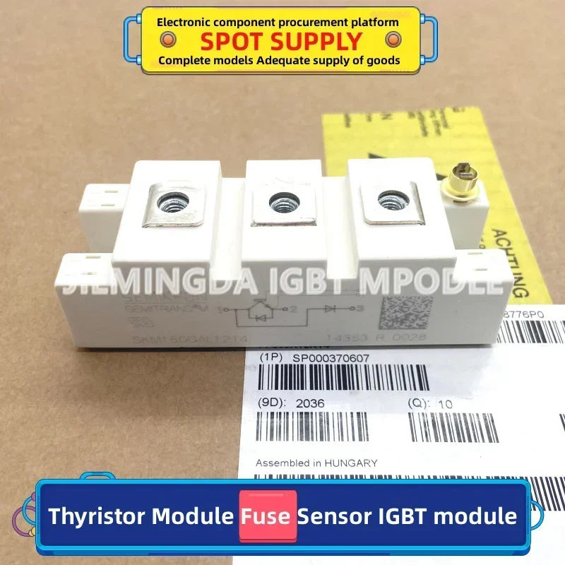 

BSM100GAL120D SKM150GAL12T4 SKM200GAL123D SKM300GAL123D SKM200GAL12T4 SKM300GAL12T4 SKM150GAL124D SKM150GAL123D IGBT Module