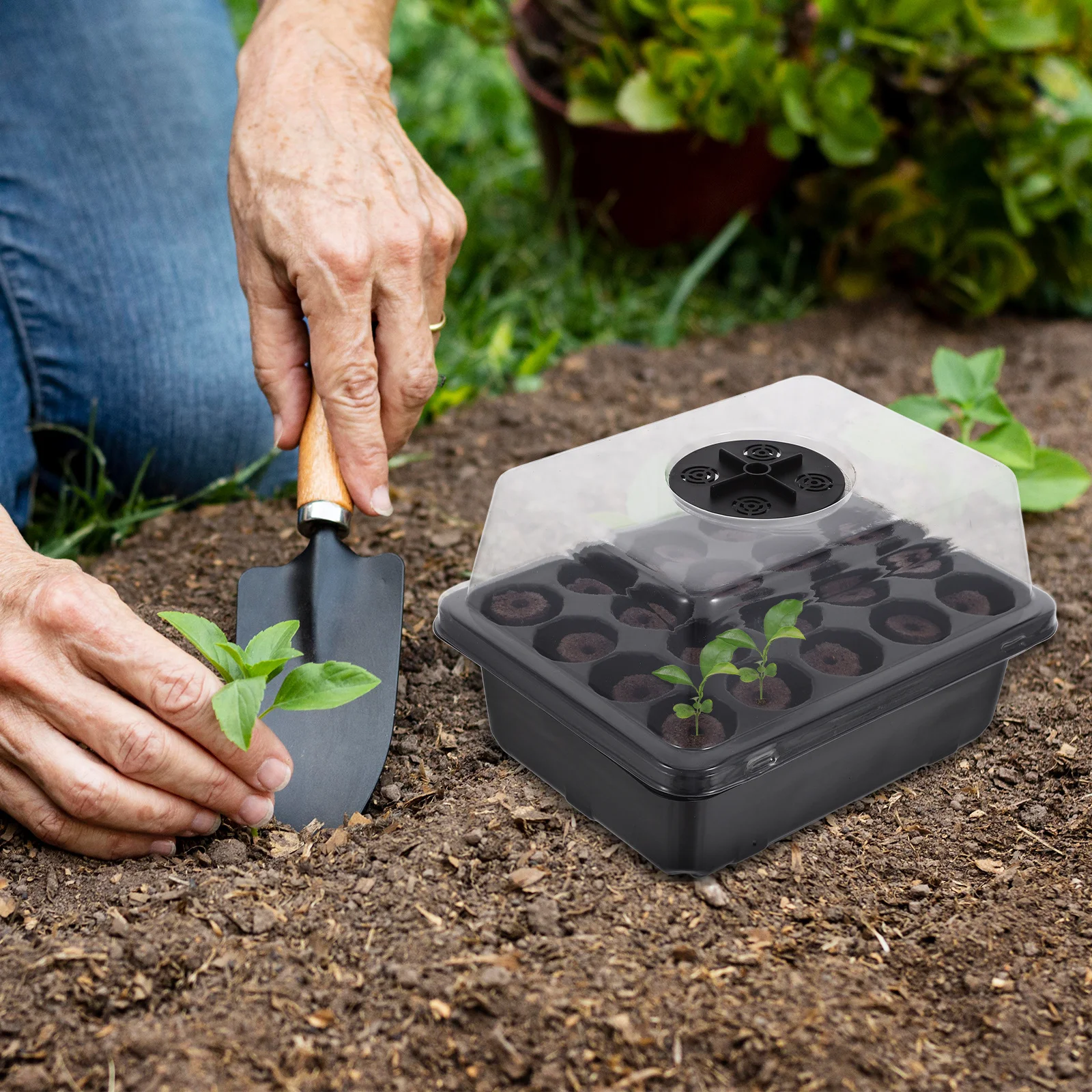 

1 set Plant Trays Tray 20-Hole Starter Kit For Vegetable Growing Starter Trays Microgreens Garden Planting Supply