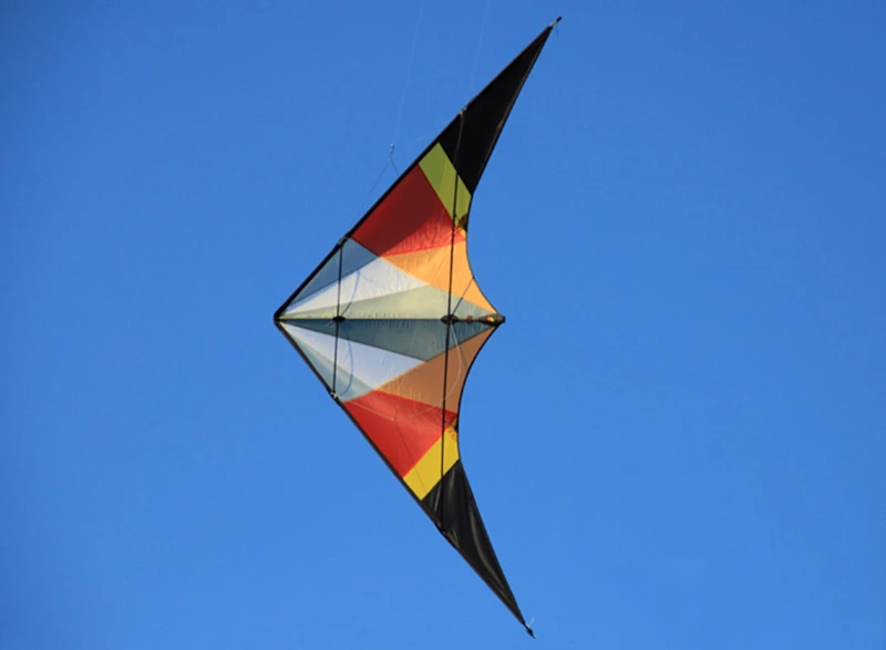 free shipping high quality large dual line stunt kite with handle line Junlong  Sound Thunder Wing 3 Kite flying Cockatiel fun