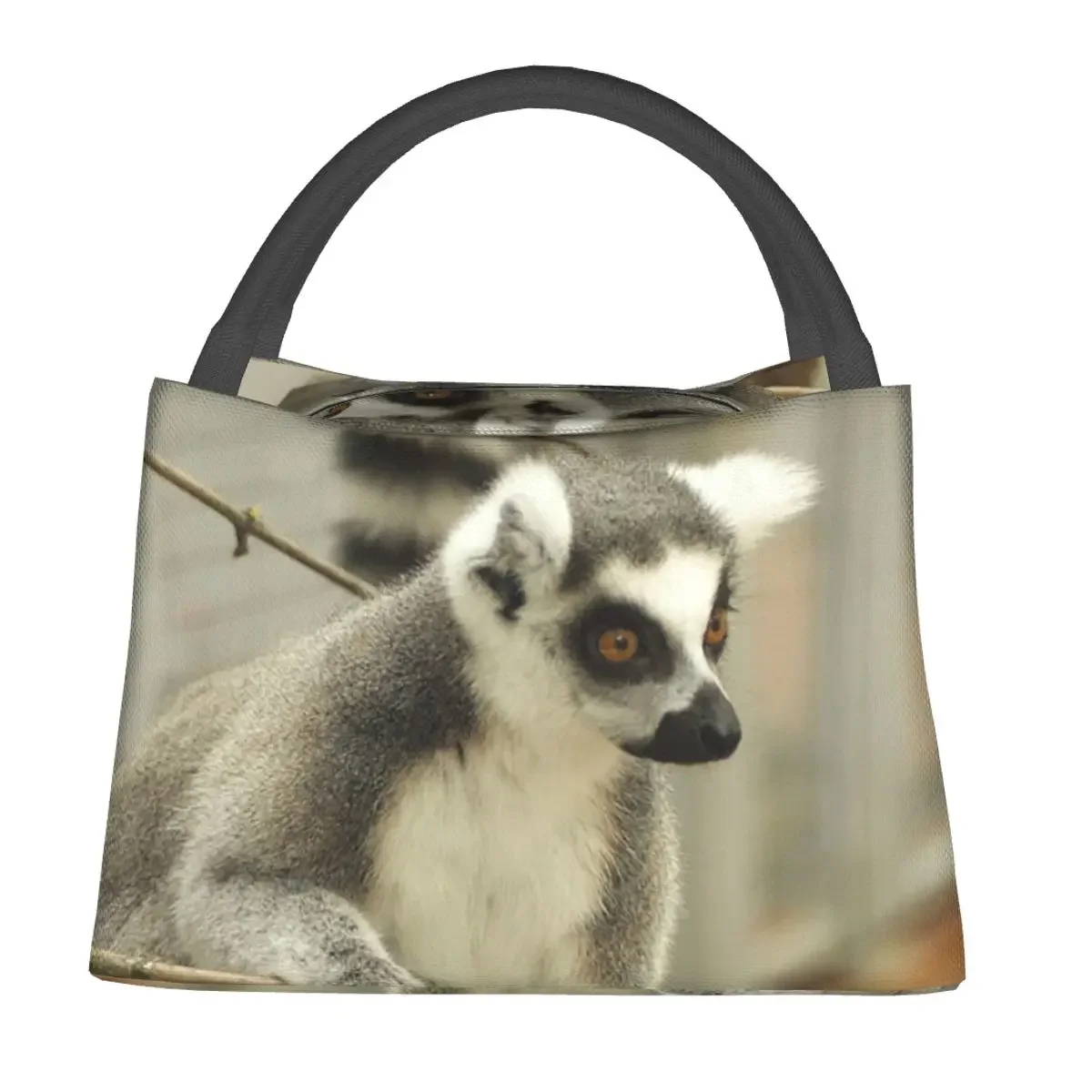 Ring Tailed Lemur Lunch Bags Insulated Bento Box Portable Lunch Tote Picnic Bags Cooler Thermal Bag for Woman Kids School