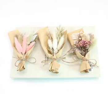 DIY 공예용 미니 말린 꽃 부케, 선물 상자 포함, 자연 실제 식물 말린 꽃, 사진 소품, 보호 웨딩 장식, 1 묶음 Best5 DIY 공예용 미니 말린 꽃 부케, 선물 상자 포함, 자연 실제 식물 말린 꽃, 사진 소품, 보호 웨딩 장식, 1 묶음 Best5