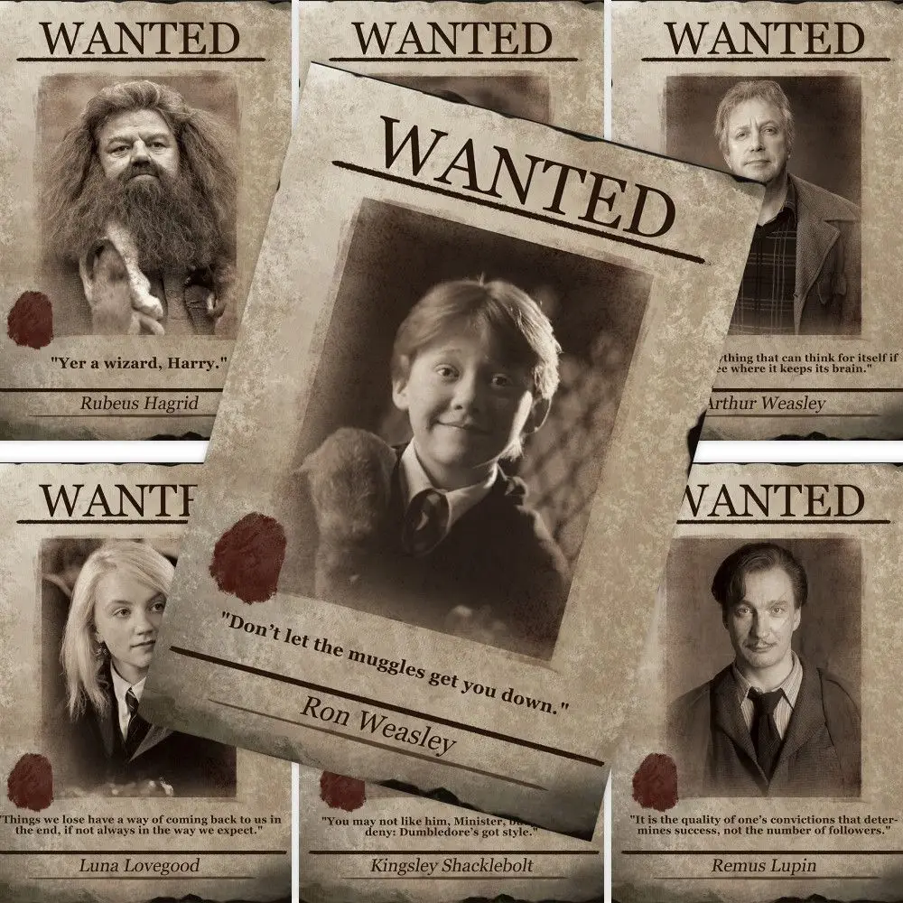 60 Harry Potter Fly…