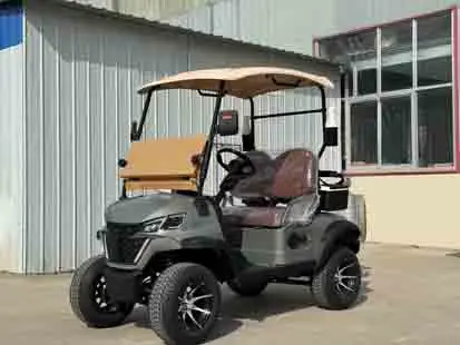 بيع المصنع مباشرة عربات الغولف الكهربائية عربة الغولف الكهربائية الحديثة #2