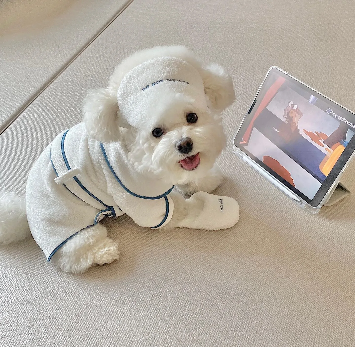 Hotel Style Pet Bath Towel Bathrobe Photo Props Pajamas Cat Cute Pajamas Dog Pet Bichon Teddy Kawaii Clothes Pet Toys