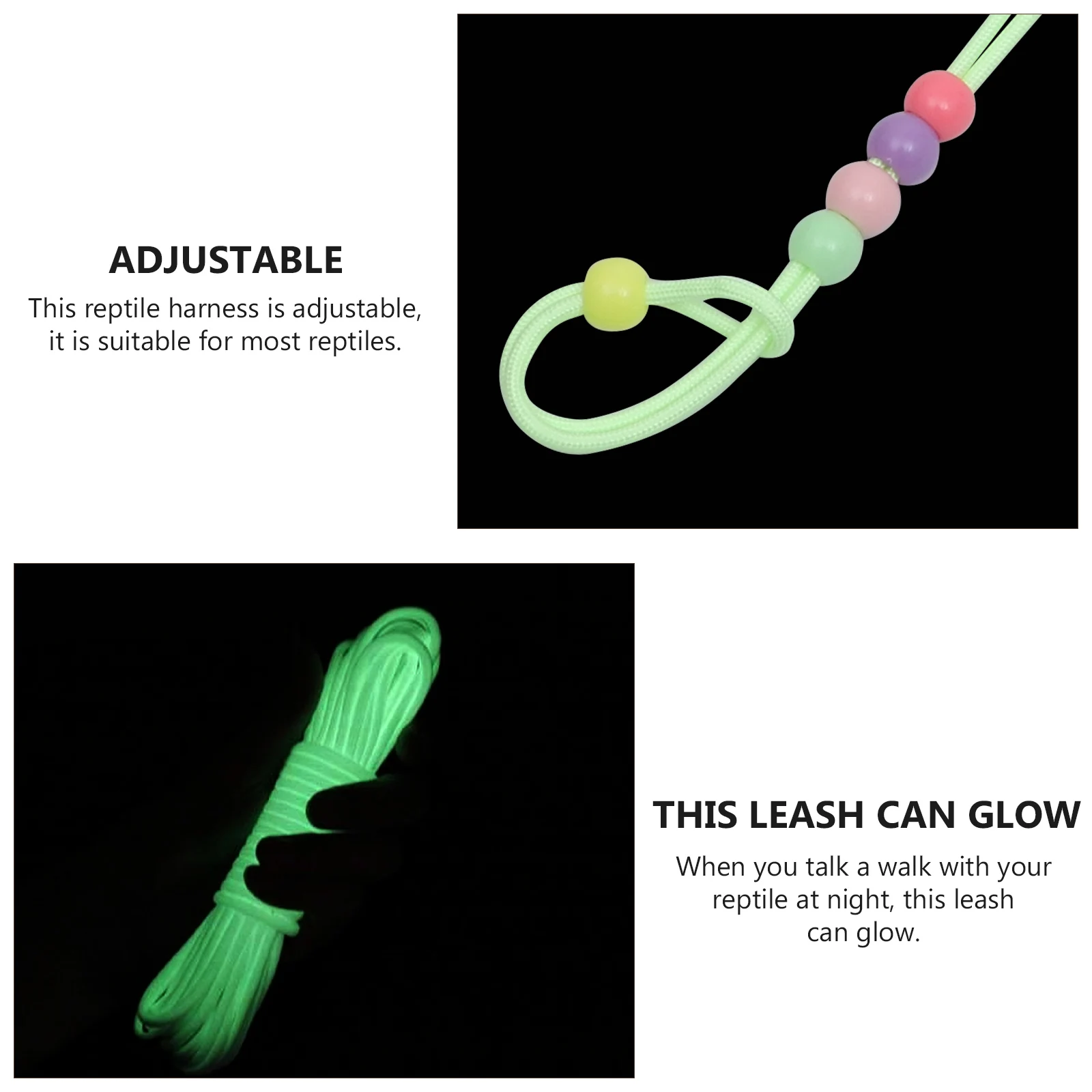

Luminous Leash for Reptile Reptiles Bearded Dragon Dragons Harness Animal Traction Rope Lizard and