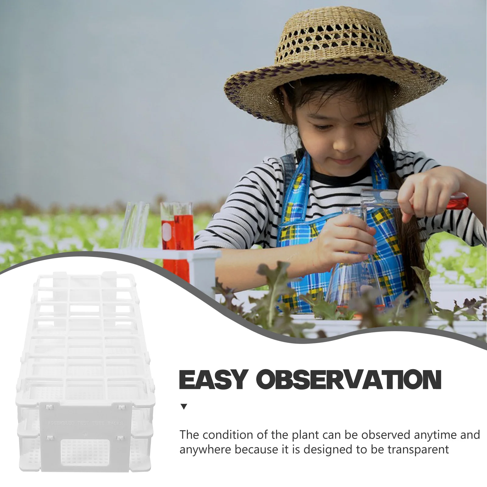 Glass Tube Bracket Planter Aquatic Plants Holder Flower Pot Hydroponic Storage Stand Plastic for Test Tubes Display Planting