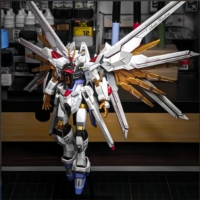 Hot High Quality Strike Freedom Soar High Gloss Spraying Hg 1/144 Assembly Model Kit Action Figures Kid Toy Desktop Ornament Toy