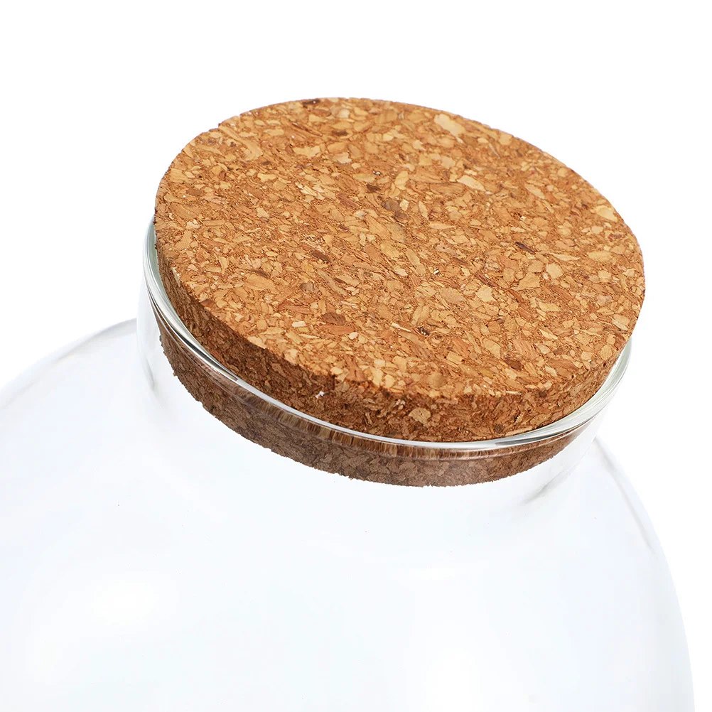 

3pcs Clear Glass Ecological Bottle Sealed Spherical Terrarium For Diy Micro-Landscape Moss Plant Desktop Decor Home Supplies