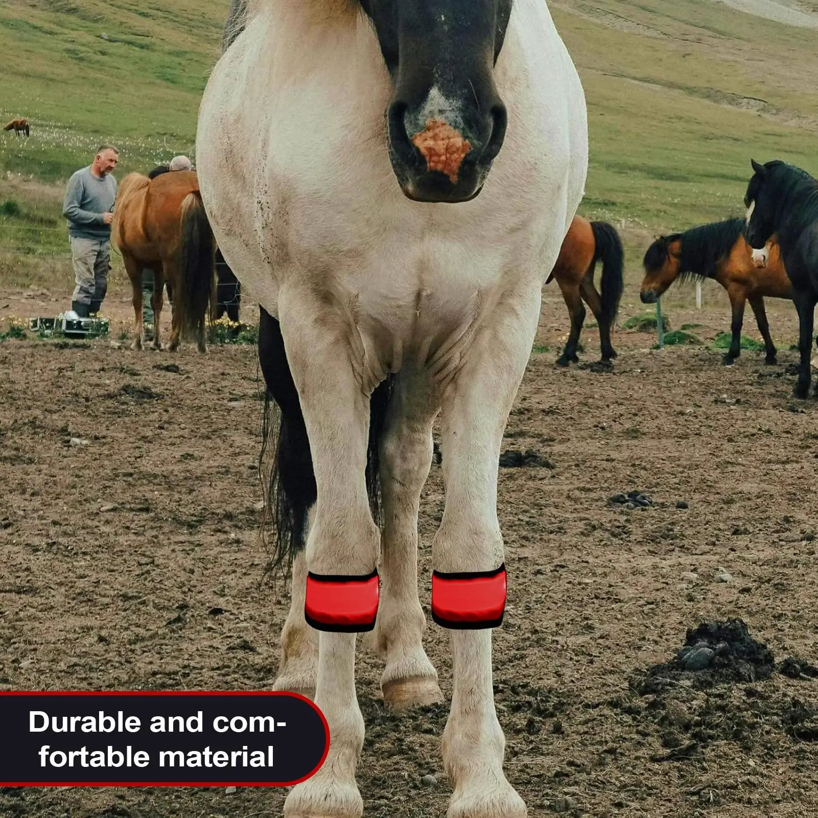 أربطة الكاحل الحصان 4 قطع معدات السلامة 4 طرق أربطة القدم الحيوانية لركوب الليل درب الطريق موكب مزرعة كشك مزرعة مستقرة