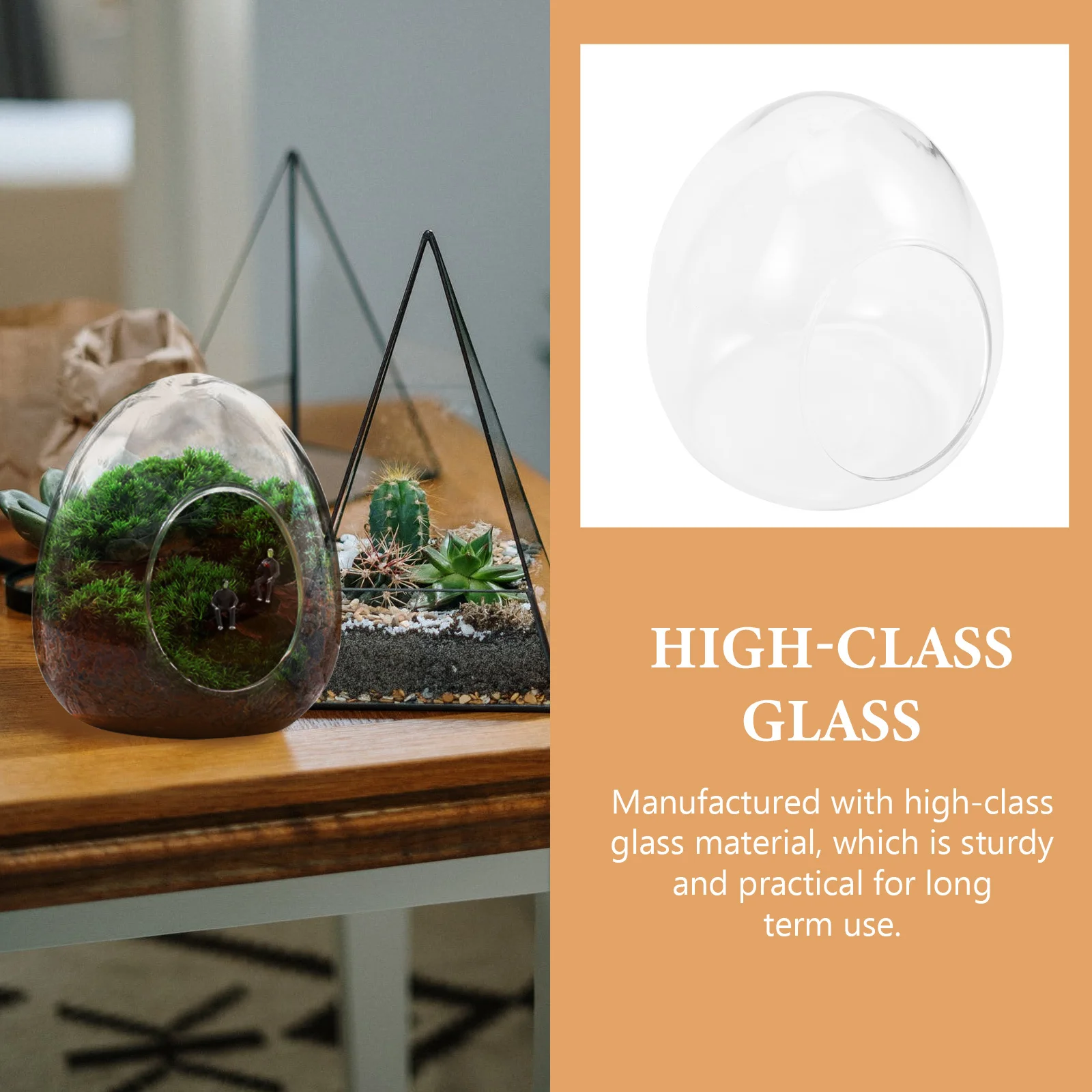 Стеклянный террариум, микропейзаж, бутылка из мха, экологическая бутылка для внутреннего сада, декоративная станция для размножения растений, сделай сам