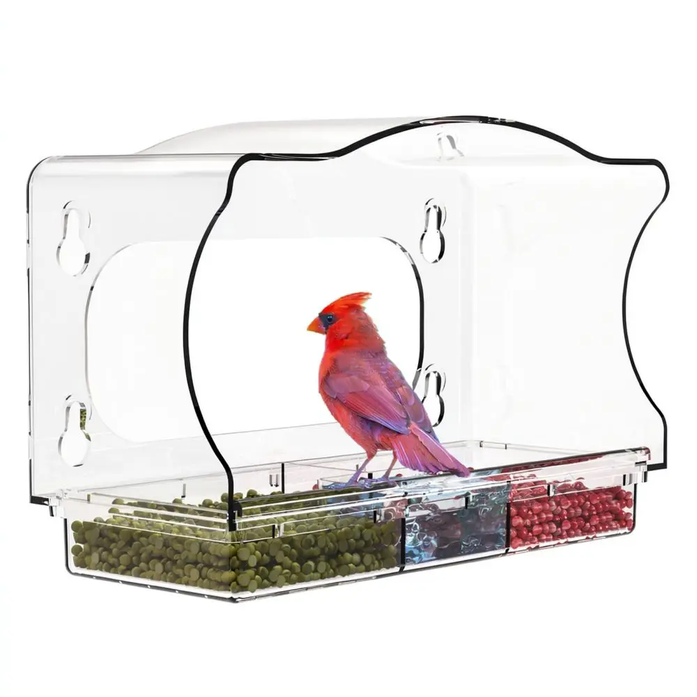 Outdoor Window Bird Feeder Clear Plastic House Backyard Bird Watching Feeding Tool Strong Suction Cup Fastener