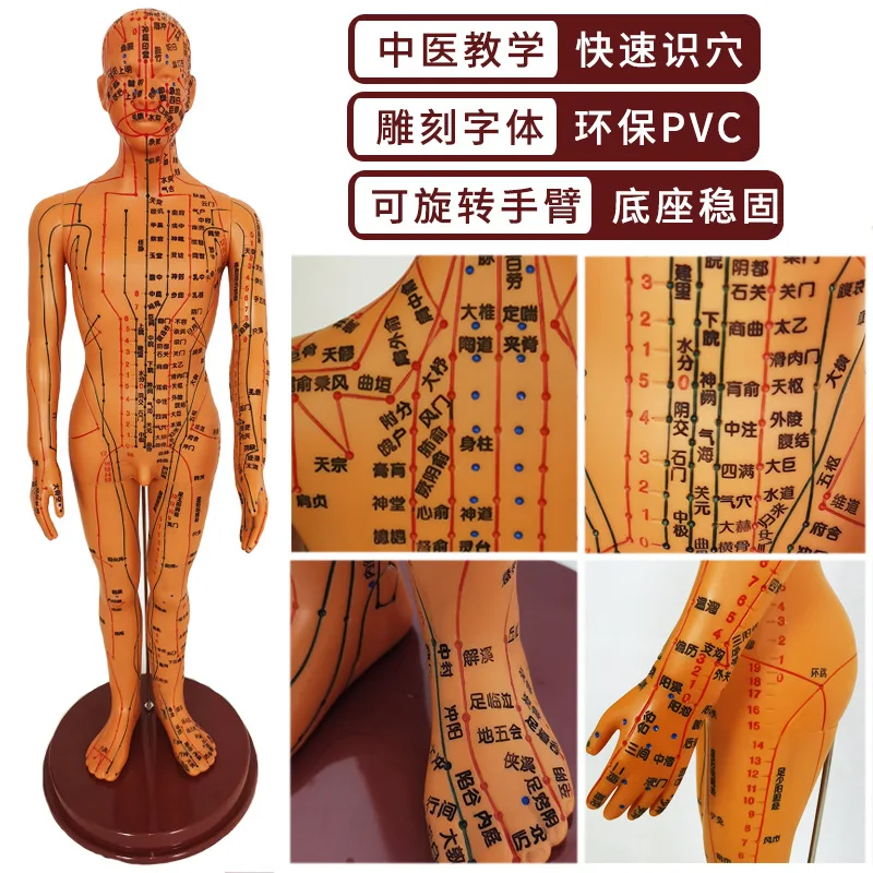 Human acupuncture point model acupuncture meridians teaching small bronze person super clear body 12 meridians human model