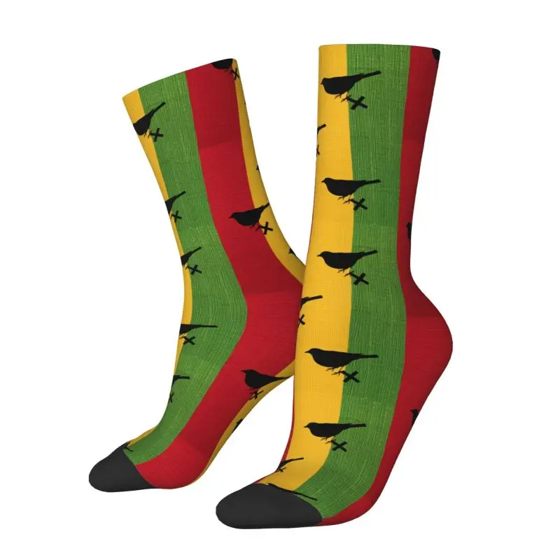 Novelty Printing Ajax 3 Little Birds Socks for Women Men Stretch Summer Autumn Winter Amsterdam Flag Crew Socks