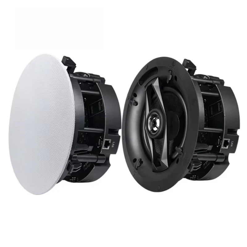 Audio Streaming Speaker Hidden Ceiling Loudspeakers Wireless for Smart Home