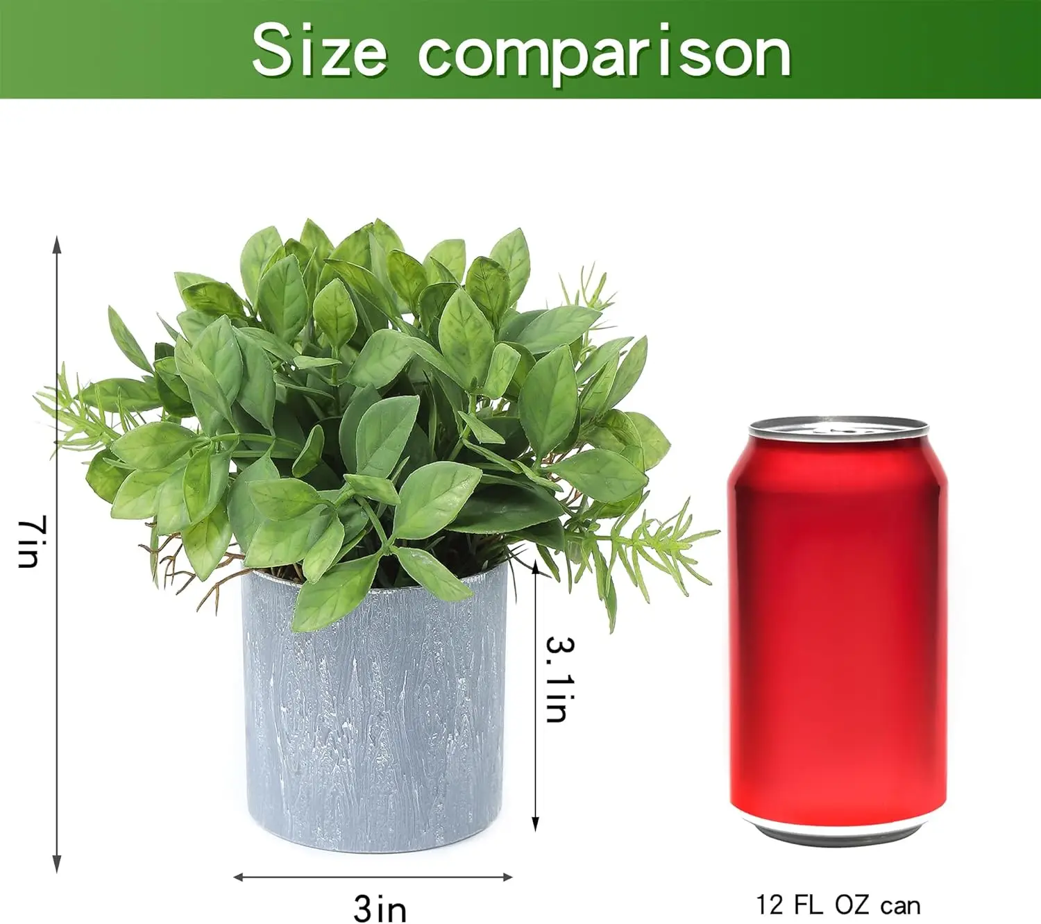 Rośliny doniczkowe 2