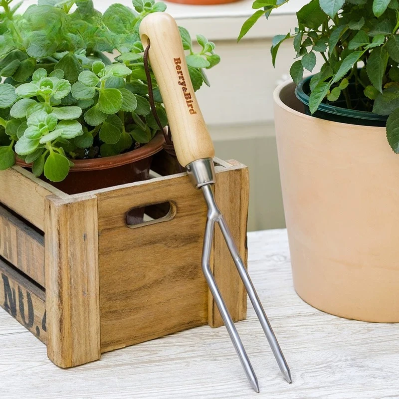 Gardening Forest Balcony Flower Planting Potted Planting Loosen Soil Gadgets Stainless Steel Two-tooth Hand Forks Planting
