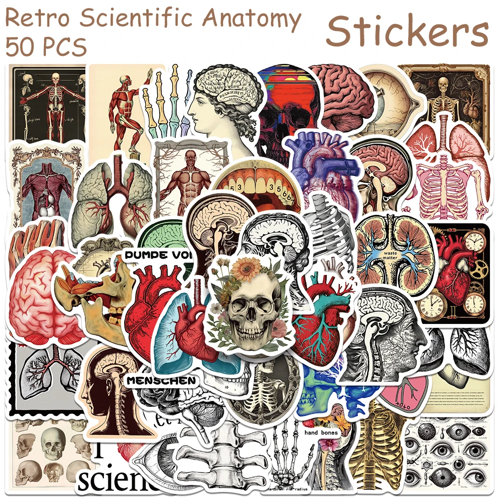 50pcs Retro Scientific Anatomy Stickers For Phone Laptop Scrapbook Suitcase DIY Aesthetic Waterproof Stickers Creative Gifts
