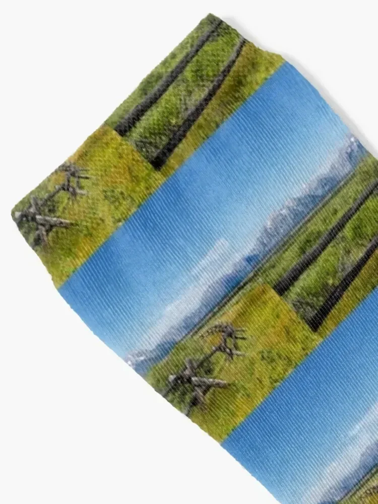 Wyoming's Grand Tetons Watercolor Socks fashionable Wholesale Hiking boots Socks Woman Men's