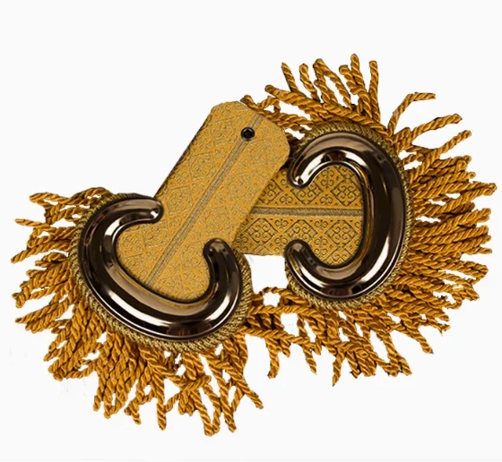 

The Presidential Guard Tassel Shoulder Band Performs As An External Honor Guard Shoulder Badge