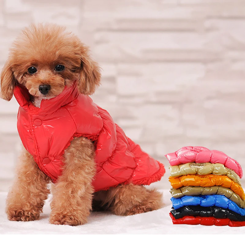 Classis Pet Dog Down Jacket For Small Dogs Winter Cat Dog Clothes For Yorkshire Shih Tzu Coat Puppy Clothing Ubranko Dla Psa