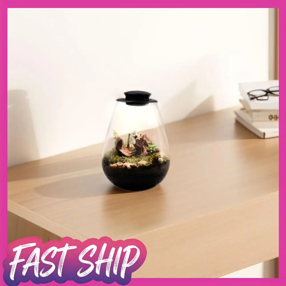 

Микро-ландшафтный светильник для выращивания растений с таймером, настольный миниатюрный светильник для растений, светильник для выращивания растений для миниатюрного садового пейзажа