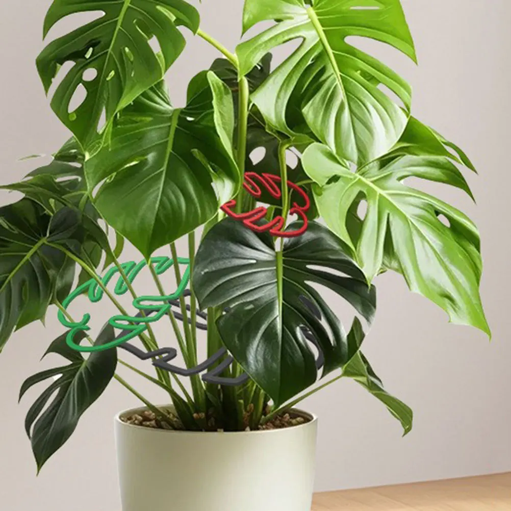 

3 set Monstera Plant Support Cage Plastic Stem Hoop Rings For Indoor Outdoor Plants Garden Accessories Plant Growth Support