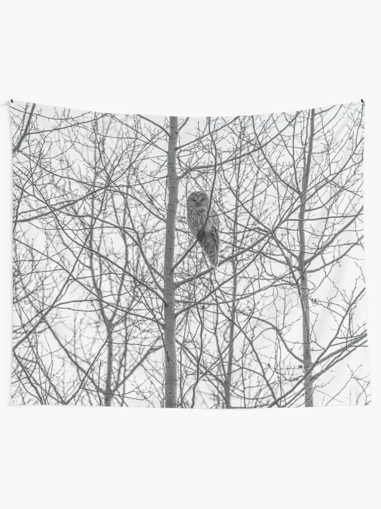 WHITE OWL ON A WOODLAND FOREST Tapestry Aesthetic Room Decor Korean Outdoor Decor For Bedroom Carpet On The Wall Tapestry