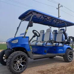 4 Seater Reception Shuttle Electric Sightseeing Bus Off Road Tire Low-Speed Golf Cart with Custom Colors