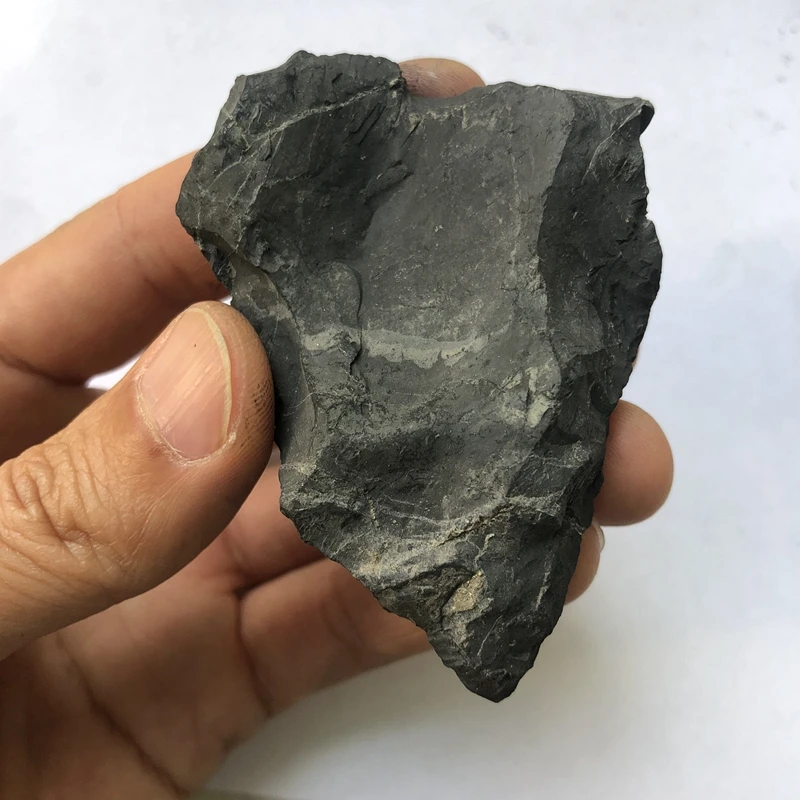 

PANGEM 1pcs Raw Russia SHUNGITE STONE for water cleaner,Energy Balance,Natural mineral from Karelia Russia,3cm 4cm 5cm