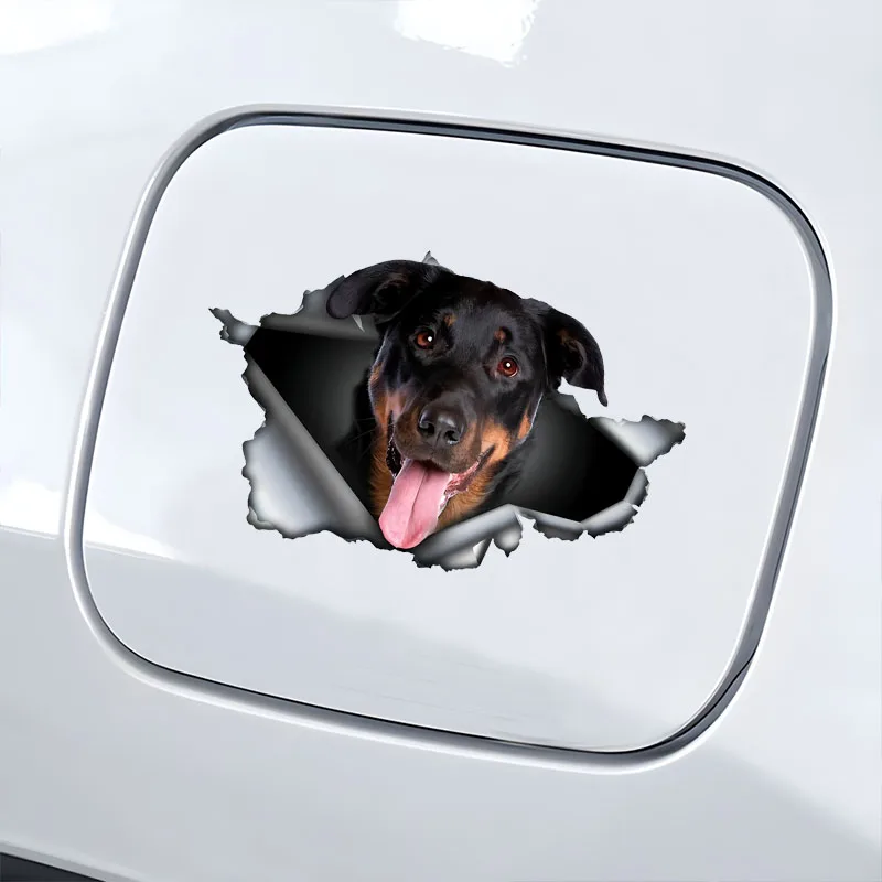 DK570 #   ملصقات سيارات Beauceron تحجب الخدش ذاتية اللصق مقاومة للماء، تستخدم للسيارة والكمبيوتر المحمول والدراجات النارية والشاحنة والمركبات الترفيهية