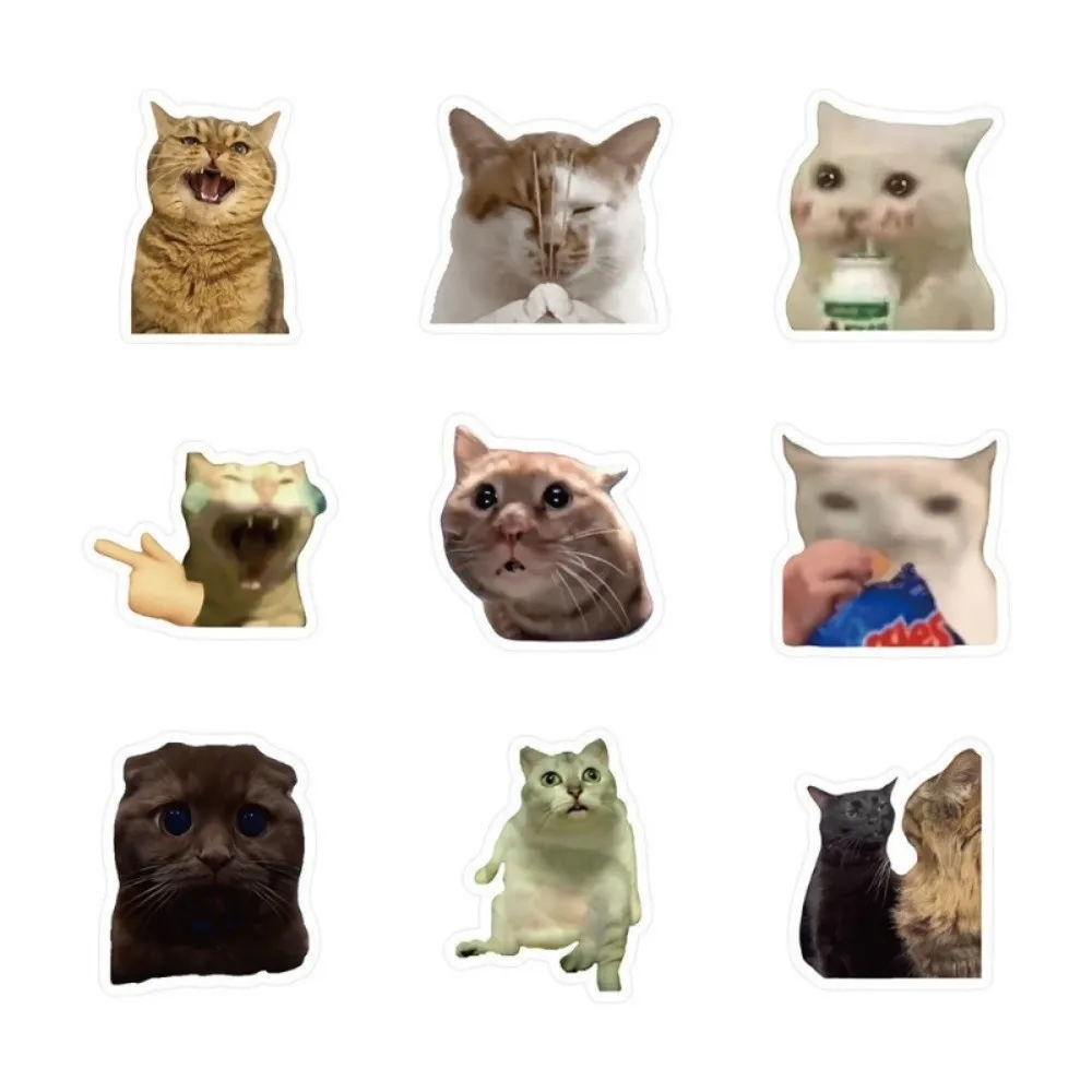 100 szt. Śmieszne wodoodporne naklejki MEME Graffiti Samoprzylepne Zdejmowalne Śmieszne Naklejki z Kotami Naklejki Dekoracyjne