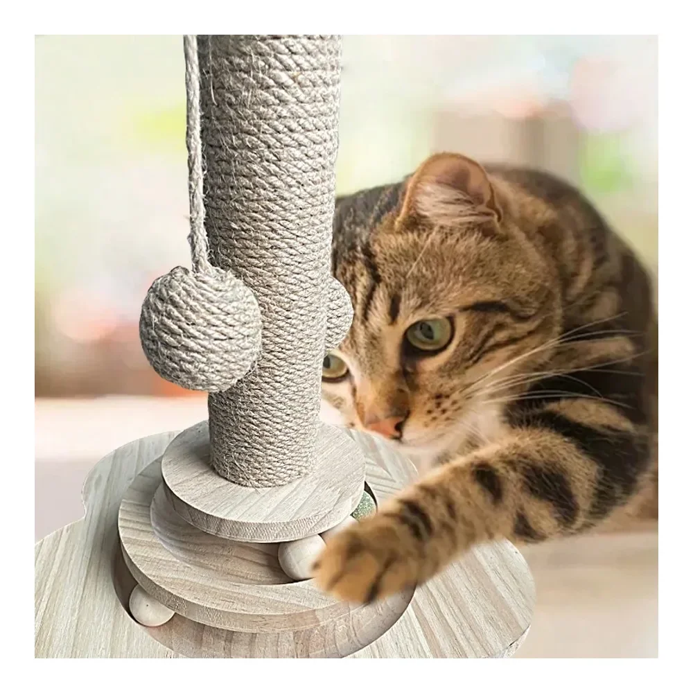 Cat Scratchers Cat …