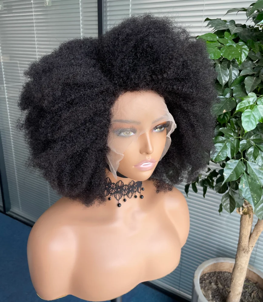 Afro Kinky Curly Lace Front Wig Brazilian Afro Short Bob Human Hair Wig 13x4x2 HD Lace Natural Hairline 250% Density 12A