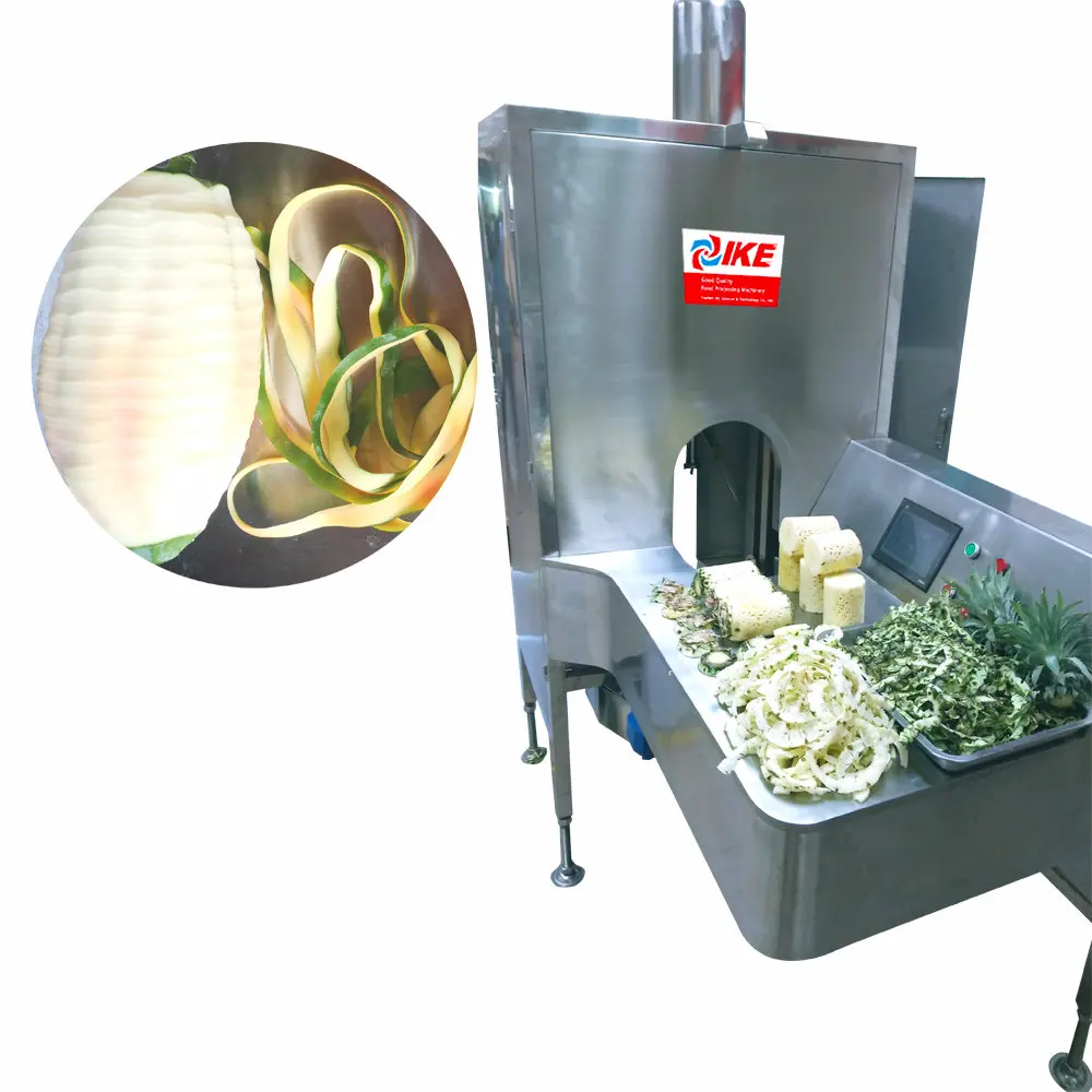 Grand éplucheur industriel de fruits et légumes pour l'épluchage de papaye de citrouille et de cire