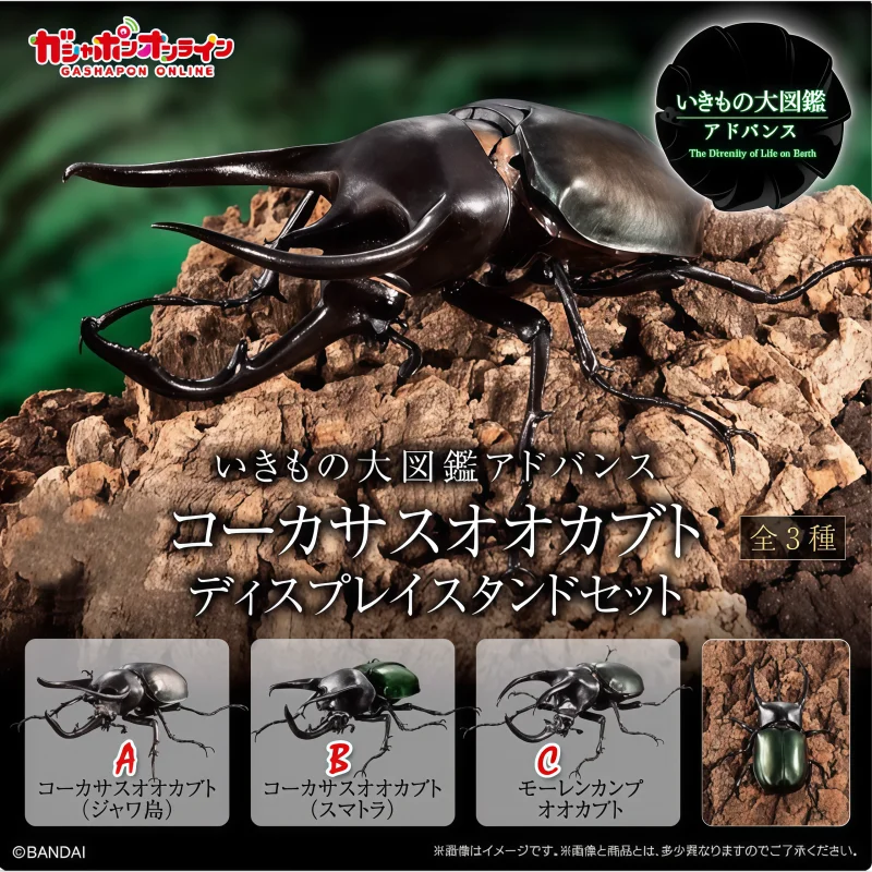 

Bandai Ikimono Daizukan Chalcosoma Atlas Rhino Beetle Pvc Insect Model Mini Figure Desk Collection Toy Birthday Gift In Stock