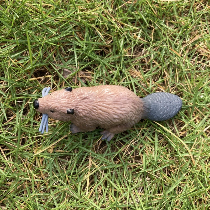 لعبة حيوانات واقعية نموذج الأب الذكور سمور الراتنج الشكل تمثال ديكور المنزل/المكتب تحصيل لعبة طفل التعليم المبكر