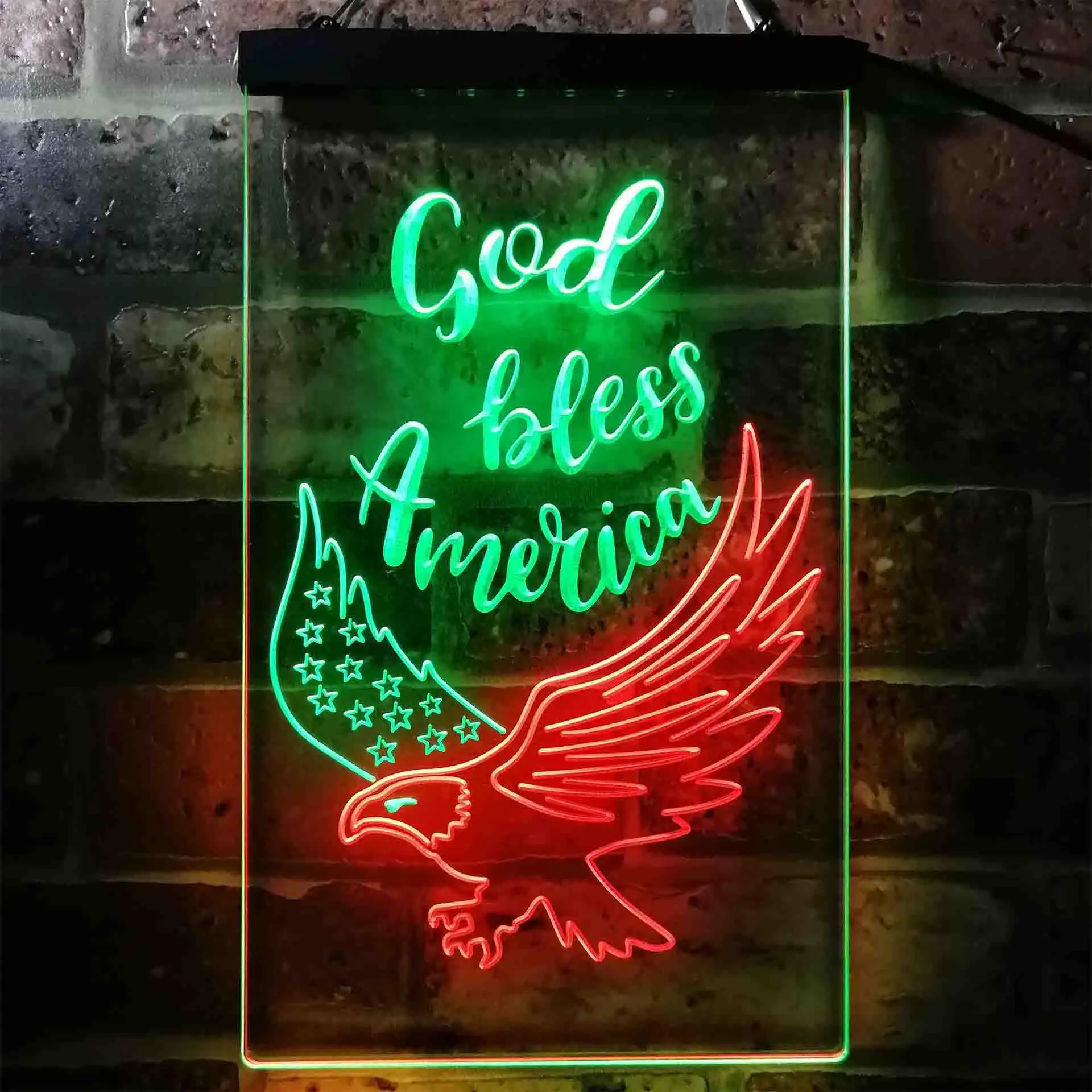 God Bless America Eagle Living Room Decoration Dual-color LED Neon Sign st6-i3955