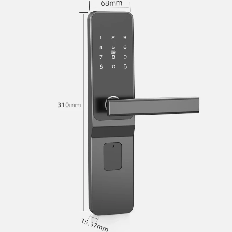 Smart Door Lock Anti Theft Door Electronic Lock Rental House Hotel with IC Card Remote APP Apartment Password Lock with Key